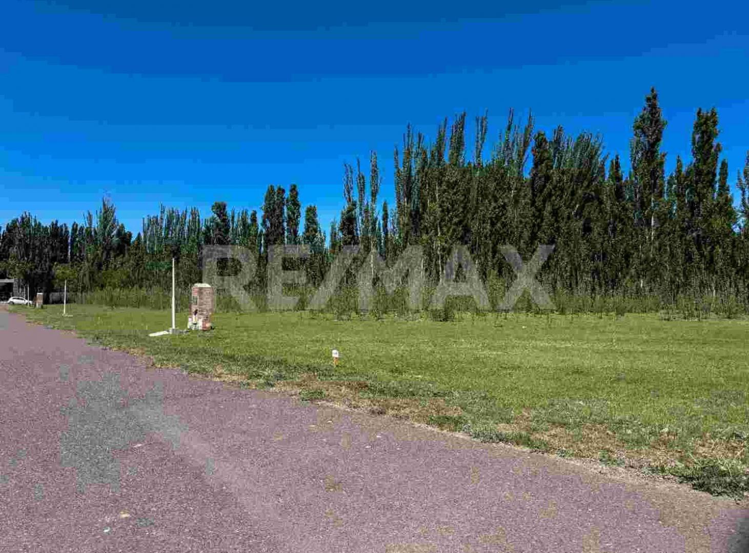 Foto de VENTA LOTE EN B. PRIVADO QUINTAS DEL SUR, imagen 4