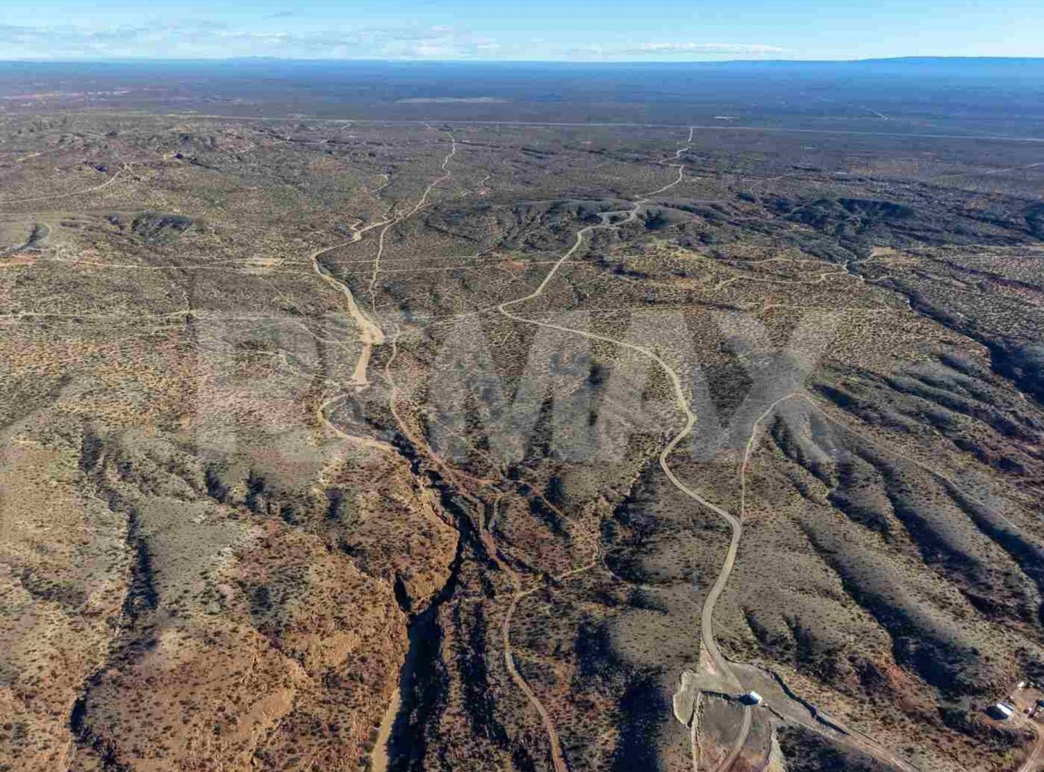 Foto de VENTA CAMPO 67,17has EN SENILLOSA, imagen 2