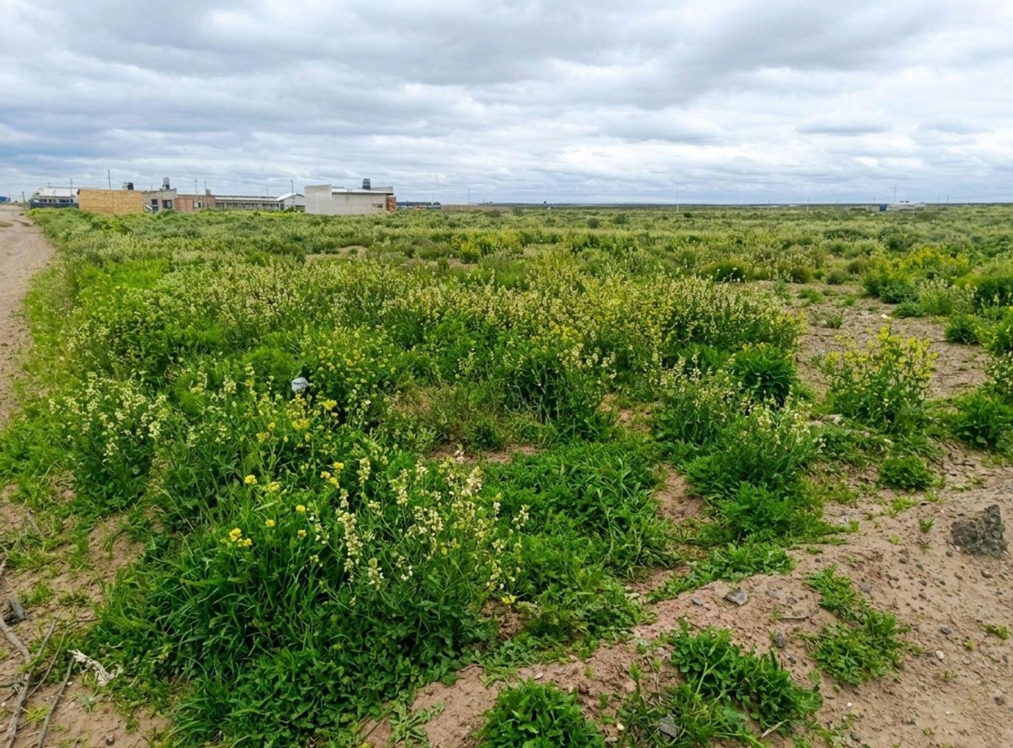 Foto de VENTA LOTE EN ESQUINA, MESETA CENTENARIO, imagen 2