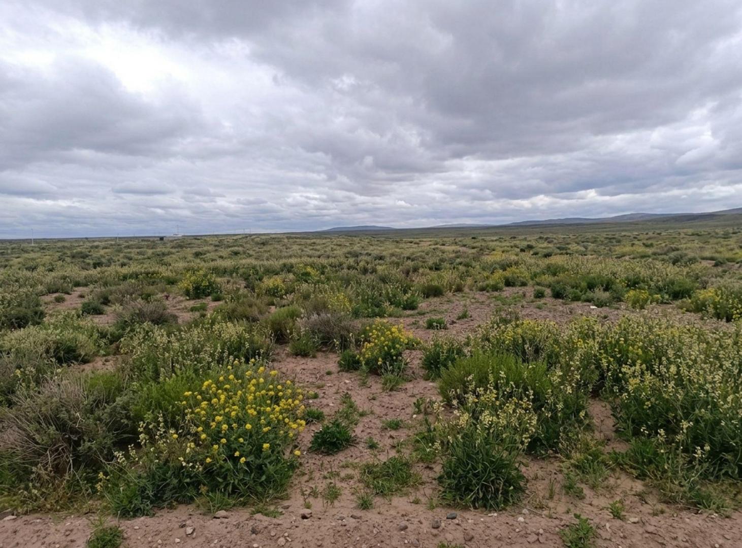 VENTA LOTE EN ESQUINA, MESETA CENTENARIO