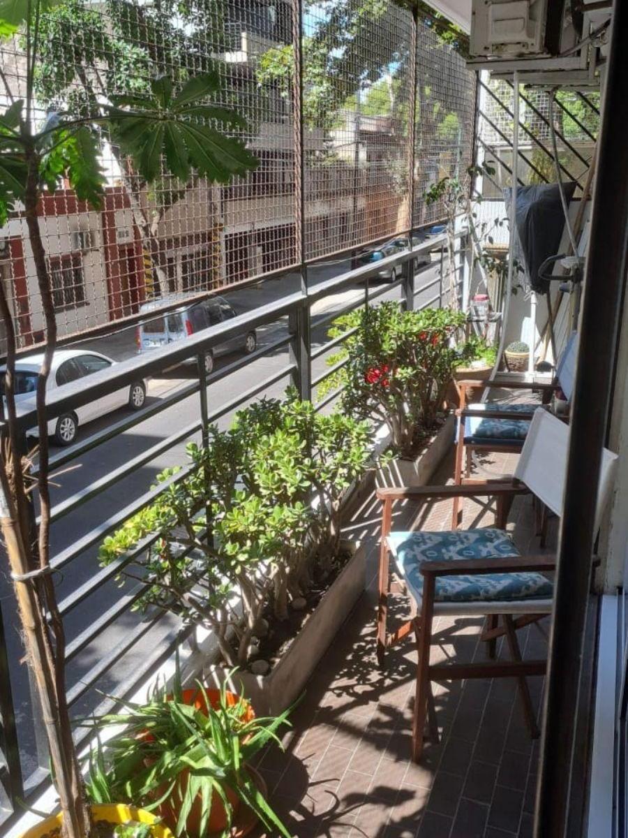 Departamento - Flores 3