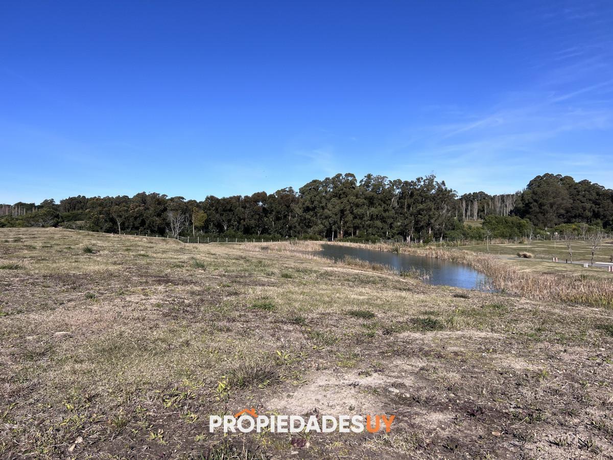 Foto de Terreno en venta Pueblo mio, elevado y con laguna propia, imagen 5
