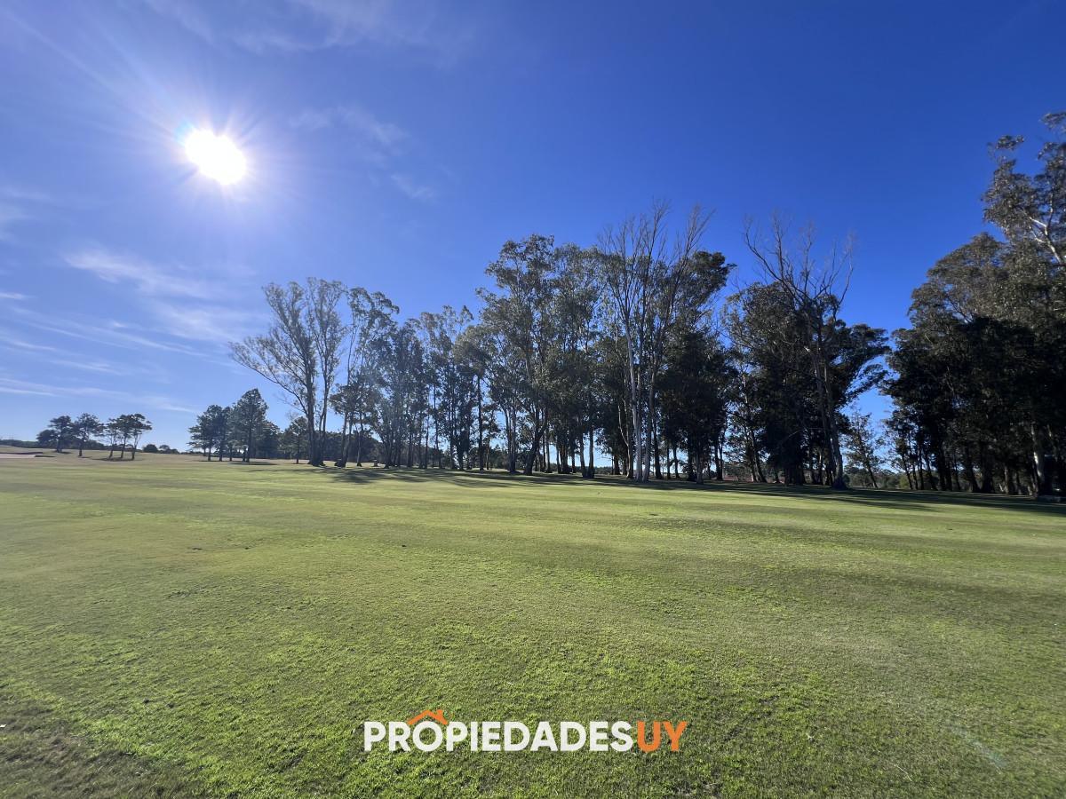 Foto de Terreno en venta Pueblo mio, elevado y con laguna propia, imagen 2