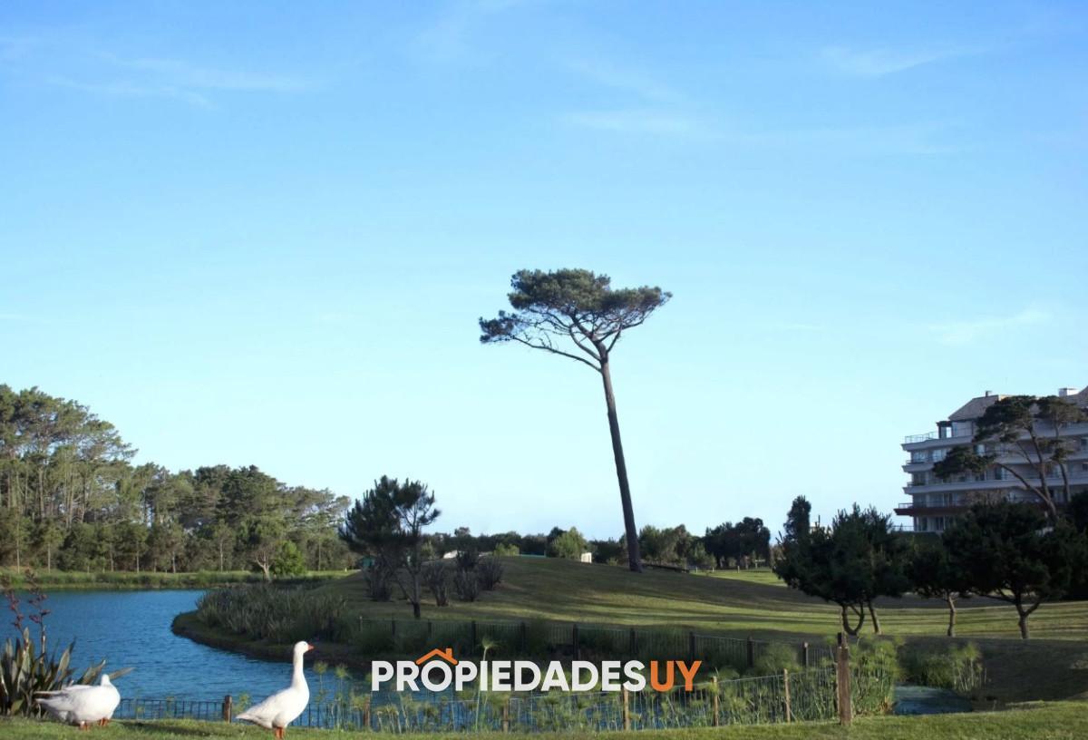 Foto de Lotes en Veramansa - Barrio Privado en Playa Mansa, Punta del Este, imagen 4