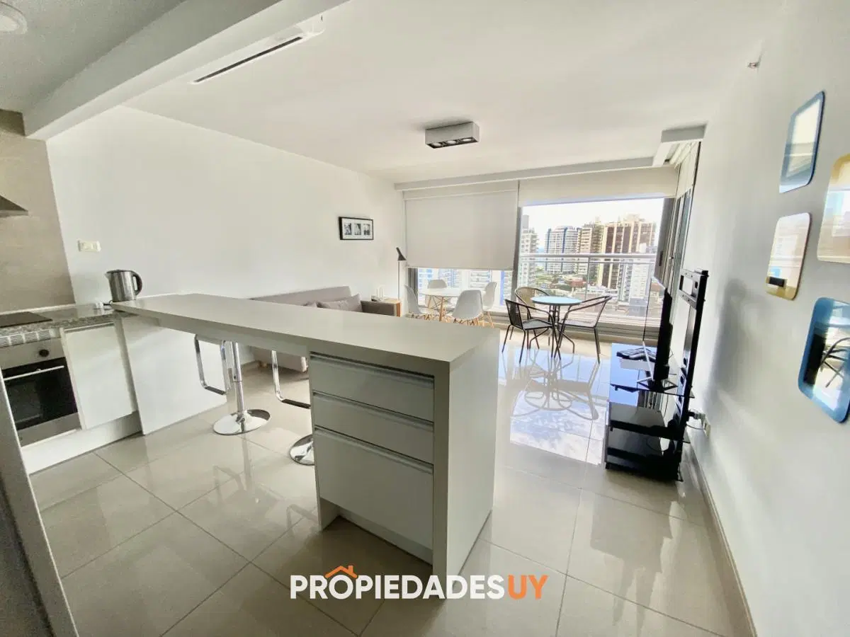 Alquiler invernal en torre con amenities 4