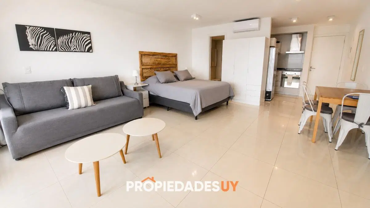 Venta Monoambiente en Punta Ballena 5