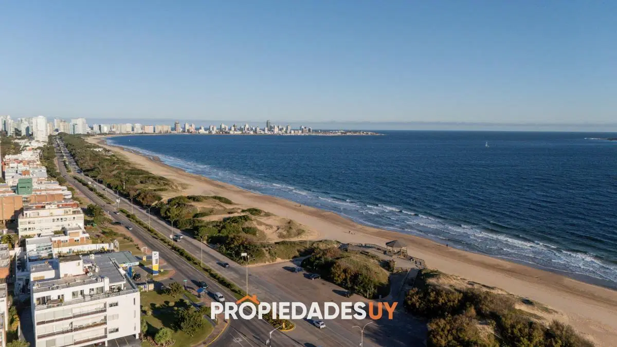 Apartamento de 3 dormitorios a la venta y en alquiler anual - Punta del Este 4