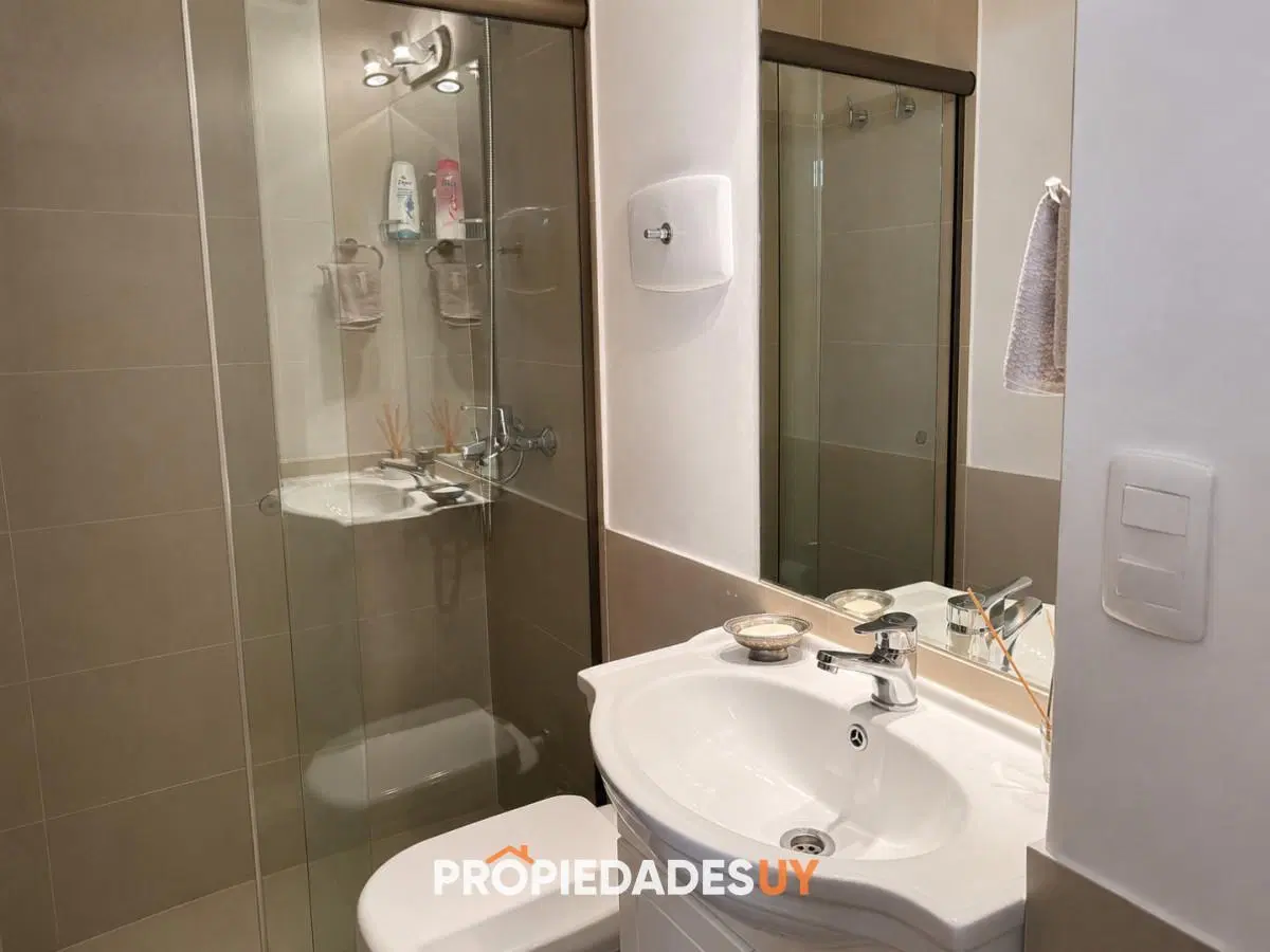 Apartamento en Peninsula - 2 dorm. 2