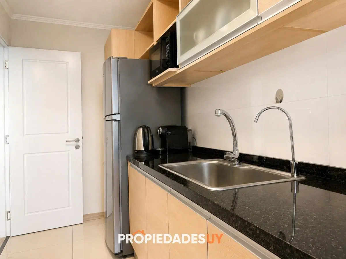 Apartamento en Place Lafayette - Piso alto - 3 dormitorios 4