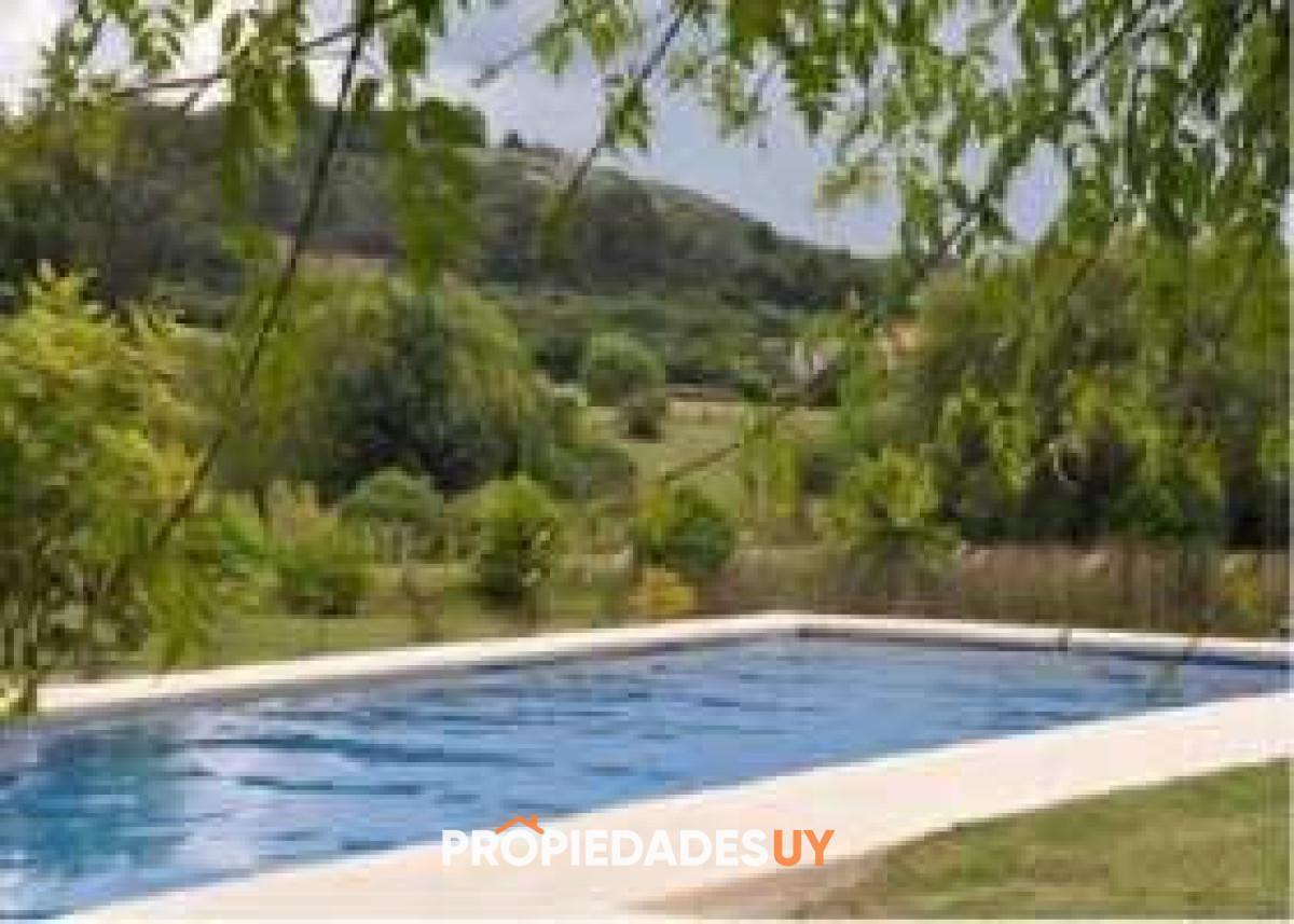Foto de Chacra en venta en Punta Ballena, imagen 3