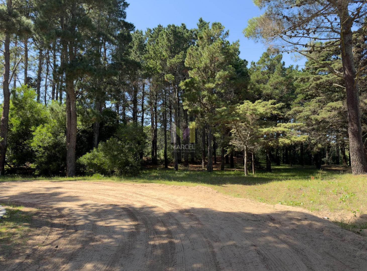 Lote en Venta Pinamar Alamos