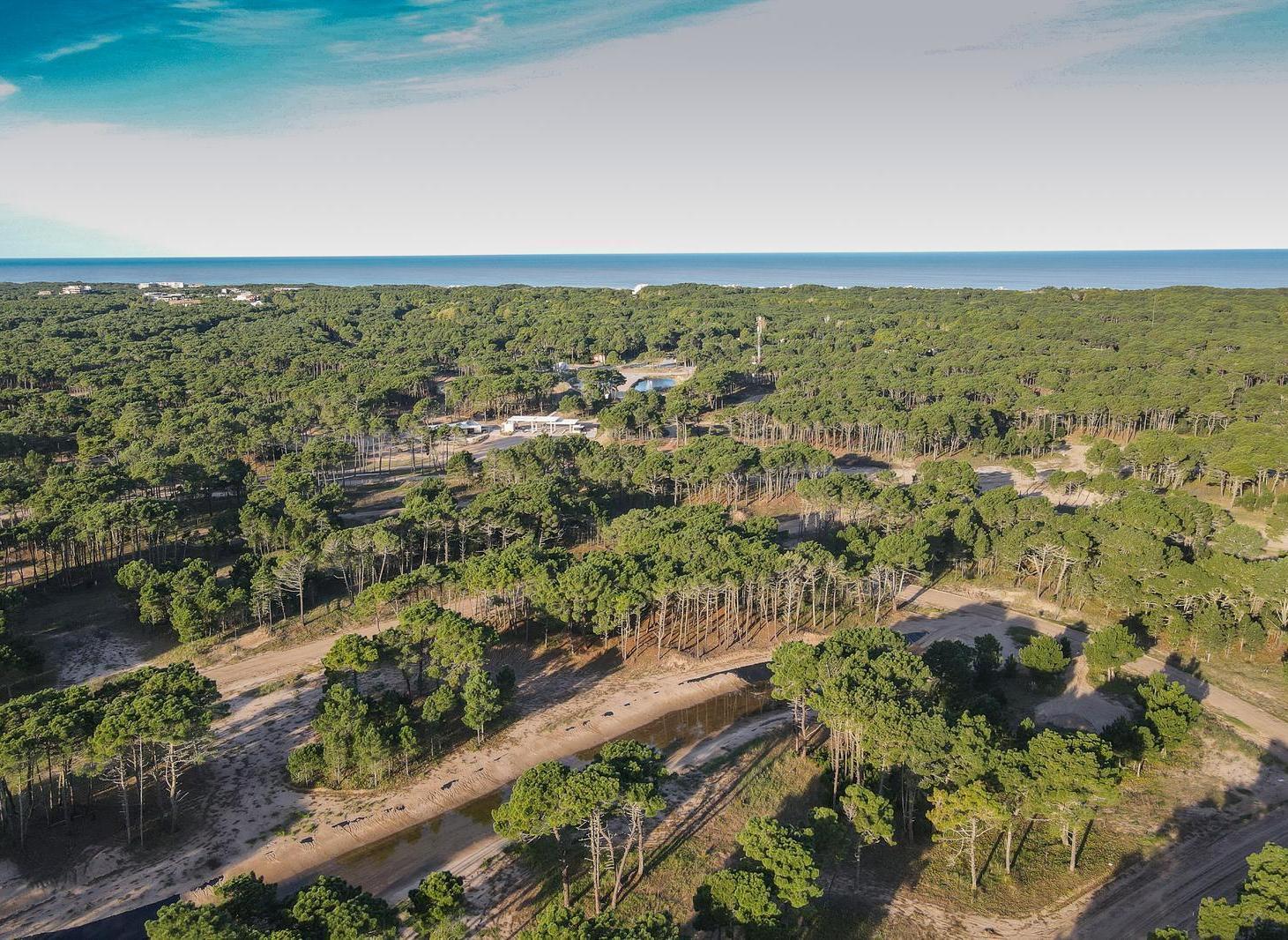 LOTE EN VENTA PINAMAR BOSQUES