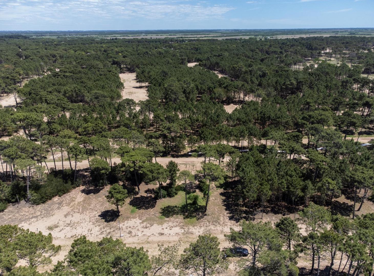 Lote en Venta Pinamar Norte Barrio Bosques