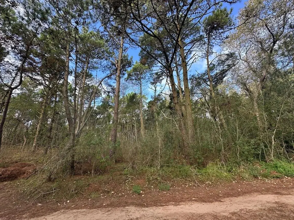 LOTE EN VENTA CARILO 1
