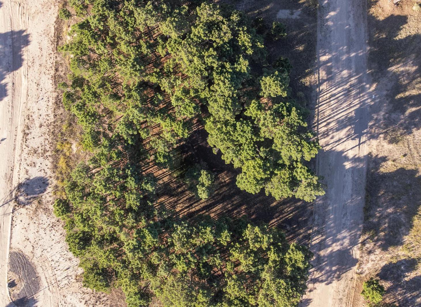 Foto de LOTE EN VENTA PINAMAR BOSQUES, imagen 5