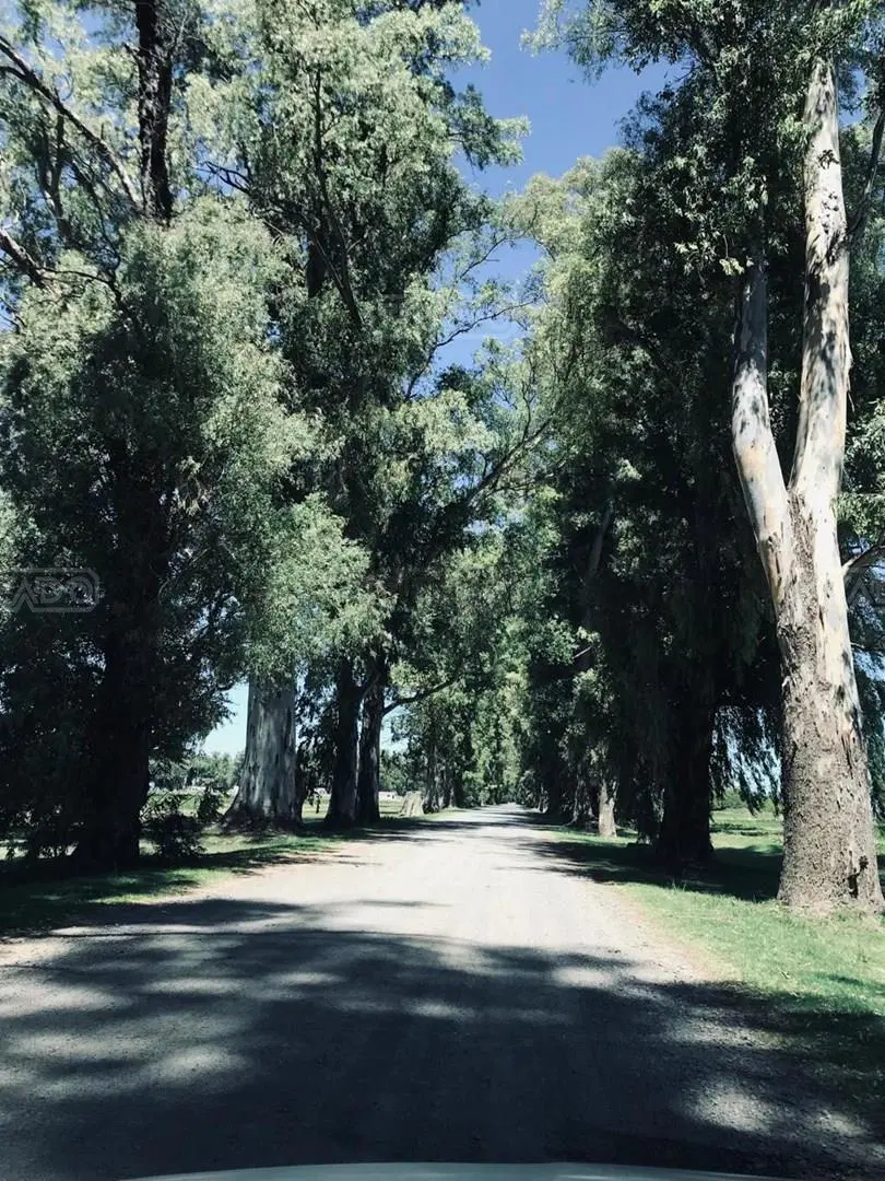 Terreno Lote  en Venta en General Rodríguez, G.B.A. Zona Oeste, Argentina 2