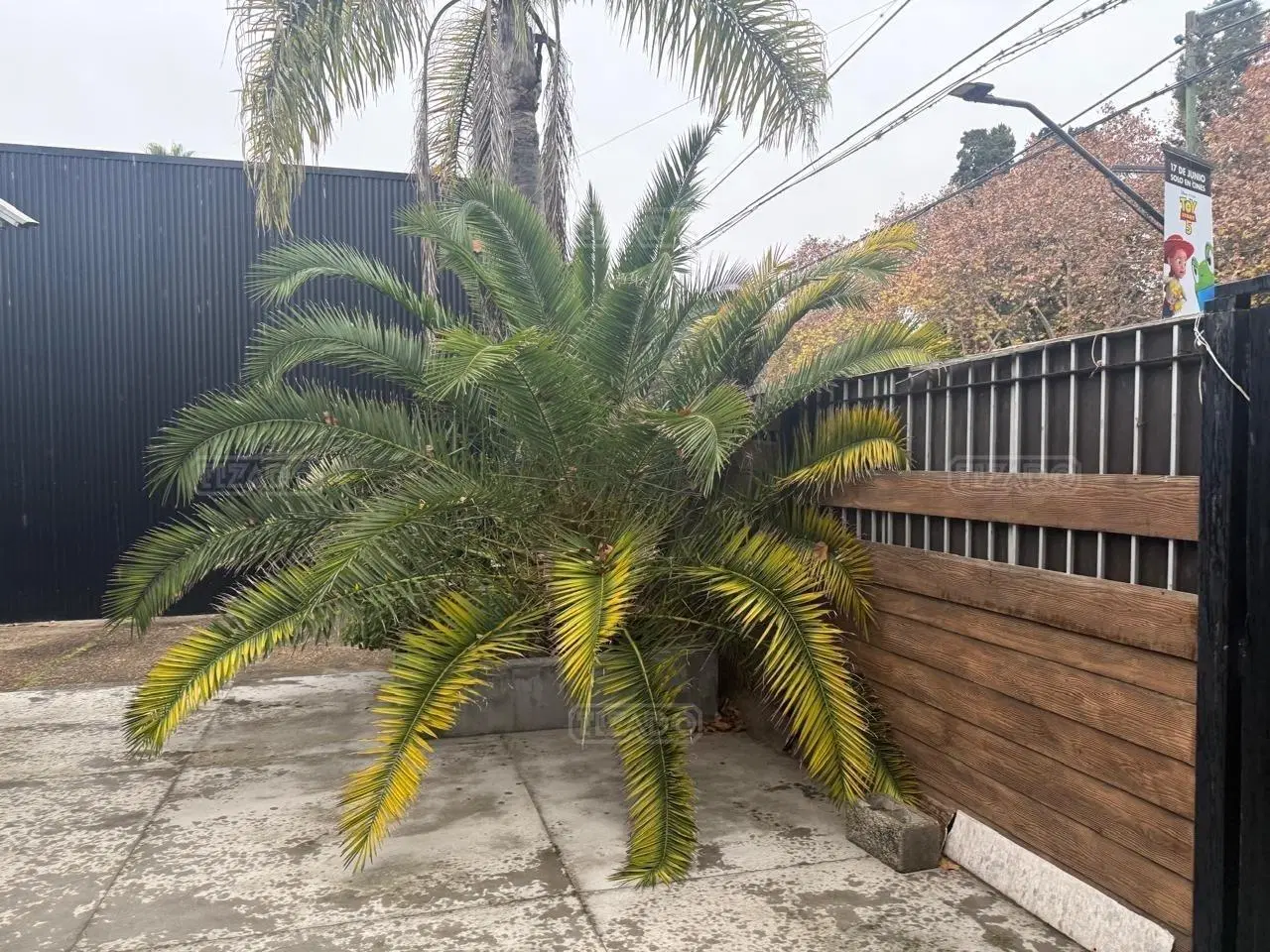 Oficina en Venta en San Isidro, G.B.A. Zona Norte, Argentina 3