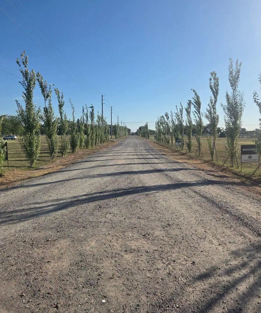 LOTE 2.000 M2  BARRIO ABIERTO QUINTAS DE CAÑUELAS 4