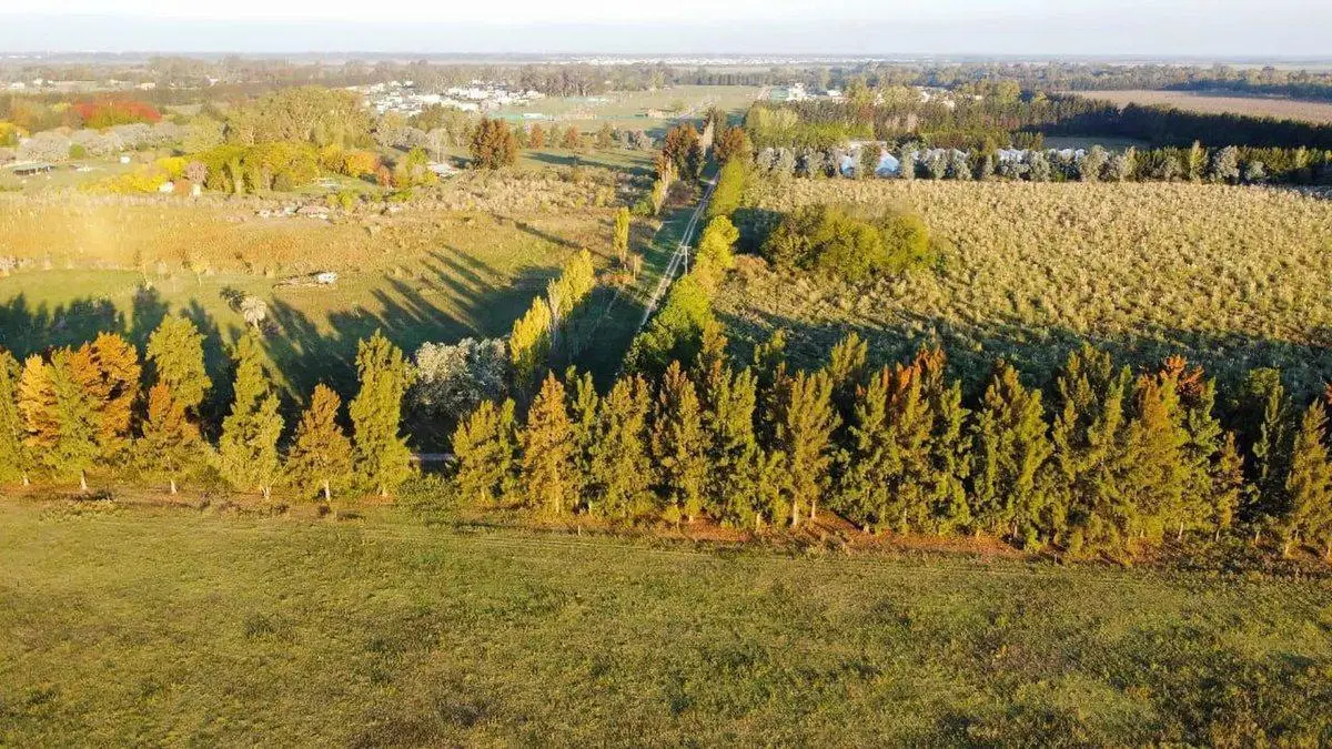 VENTA LOTE EN PRADERAS DE CARDALES 2 4