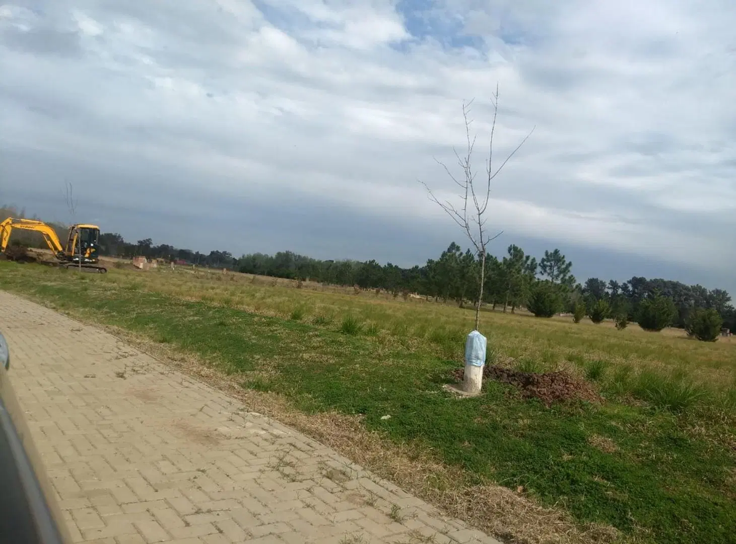 VENTA LOTE EN EL CARDAL ll 5