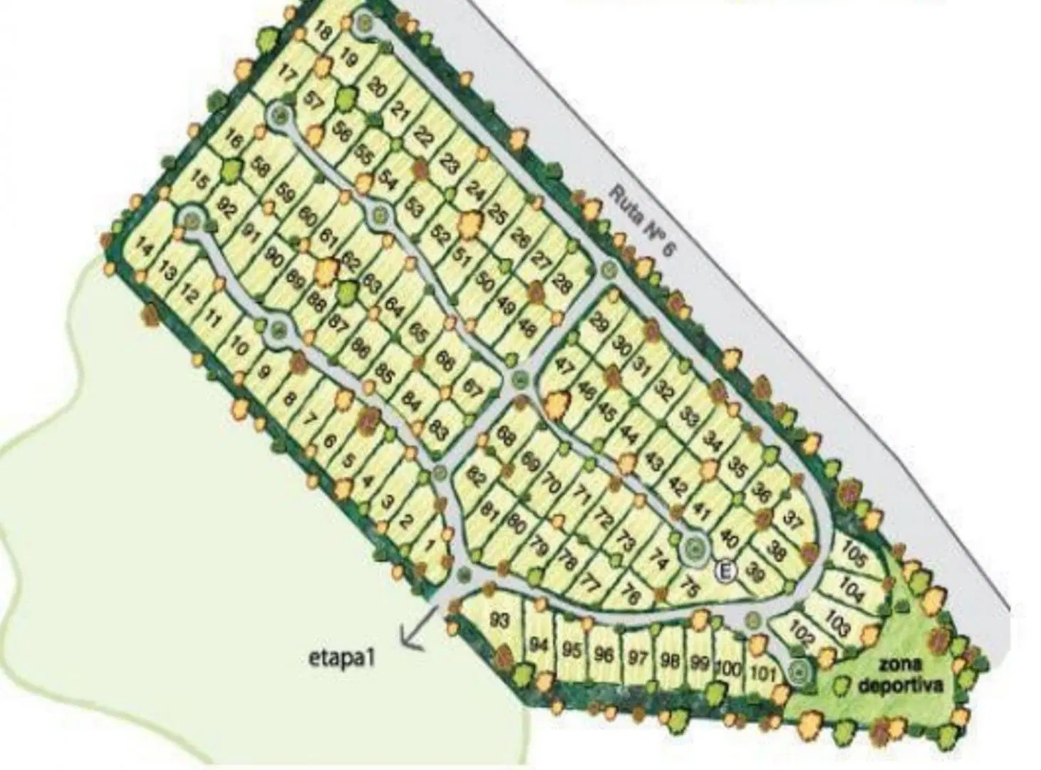 Plano 1