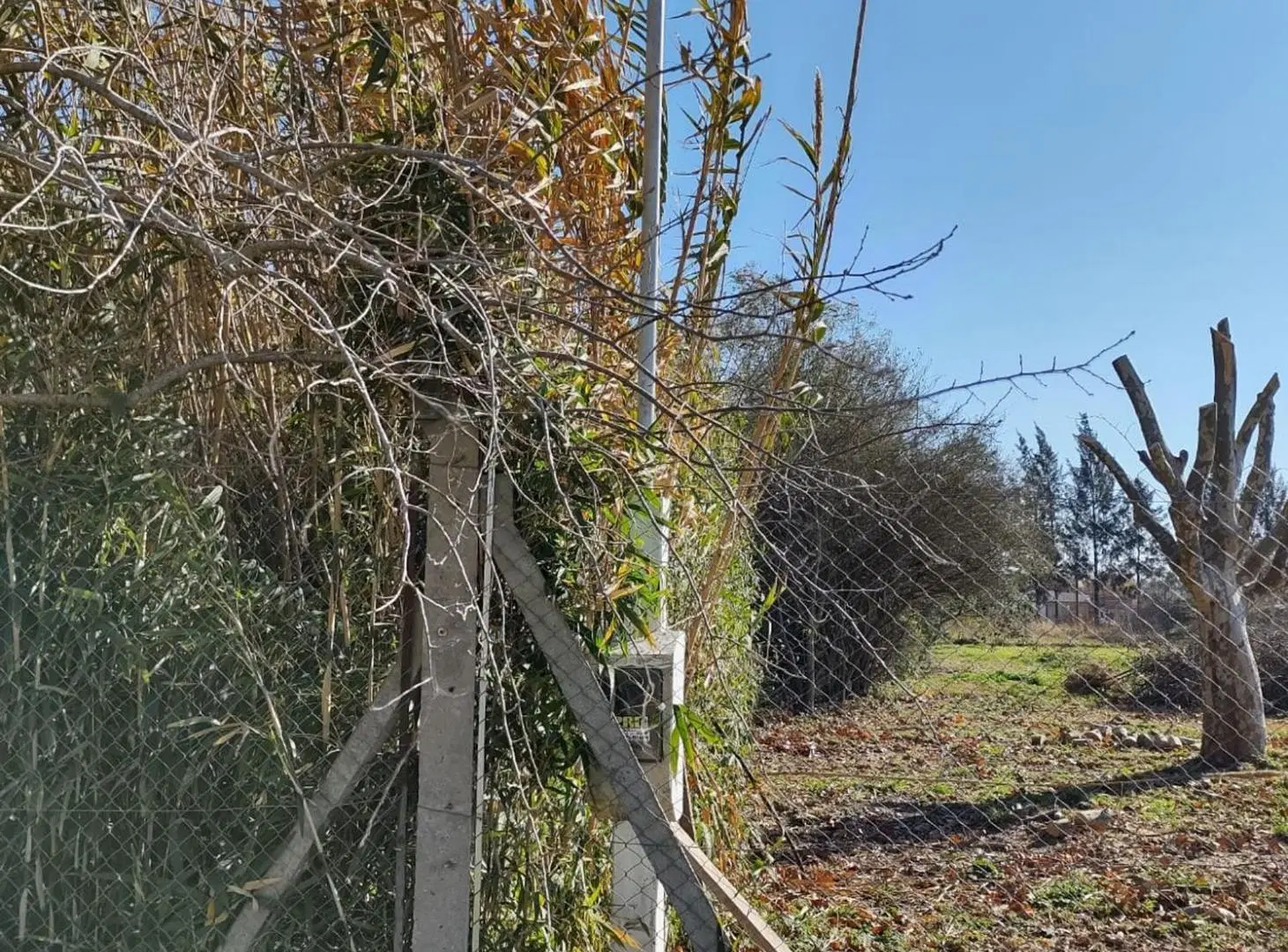 VENTA LOTE 1.000 M2 BARRIO SANTA RITA BRANDSEN 4