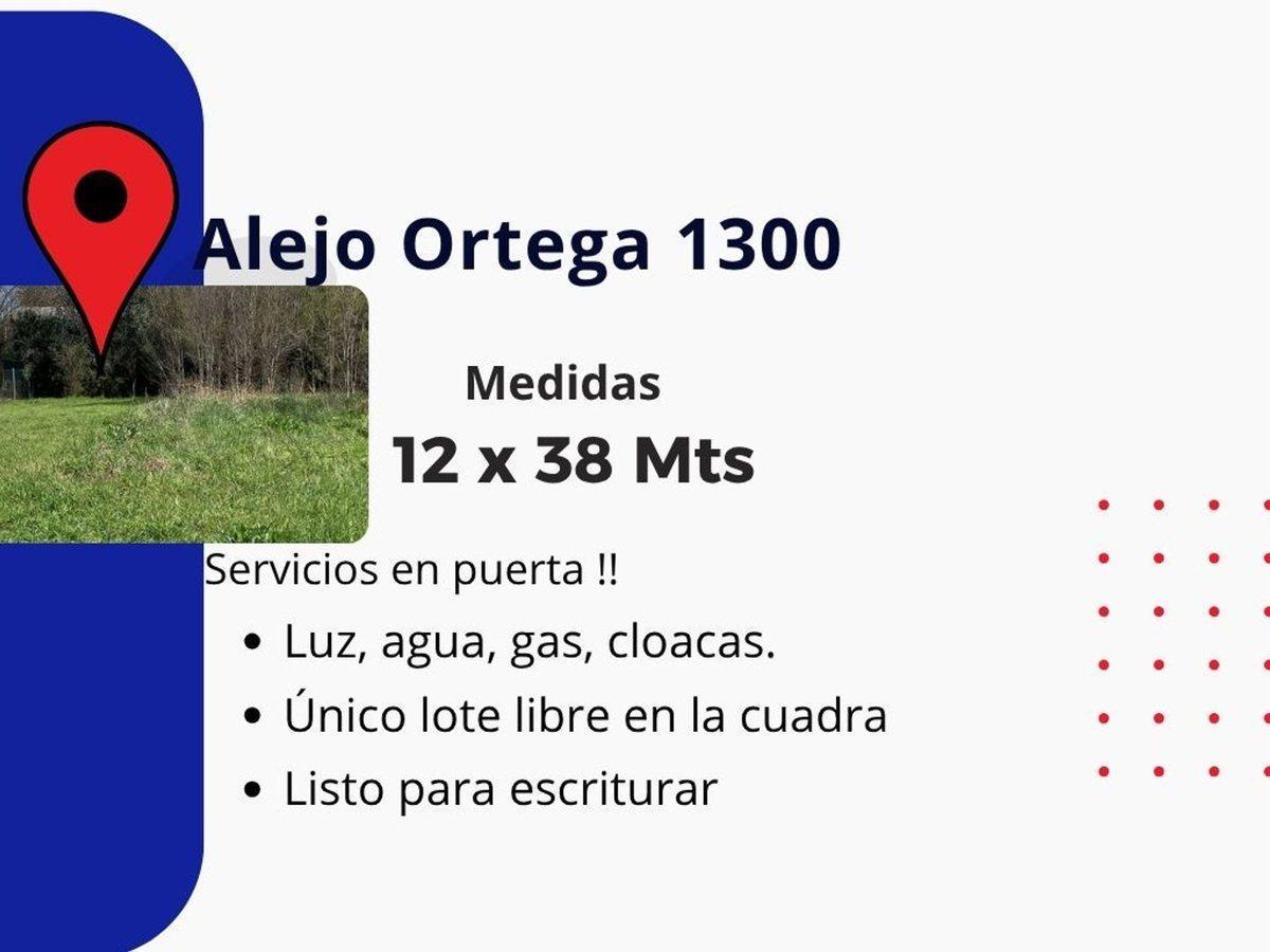 Foto de TERRENO VENTA MONTE GRANDE SERVICIOS PUBLICOS, imagen 4