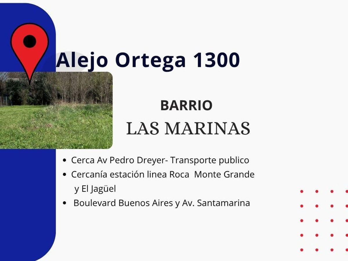 Foto de TERRENO VENTA MONTE GRANDE SERVICIOS PUBLICOS, imagen 3