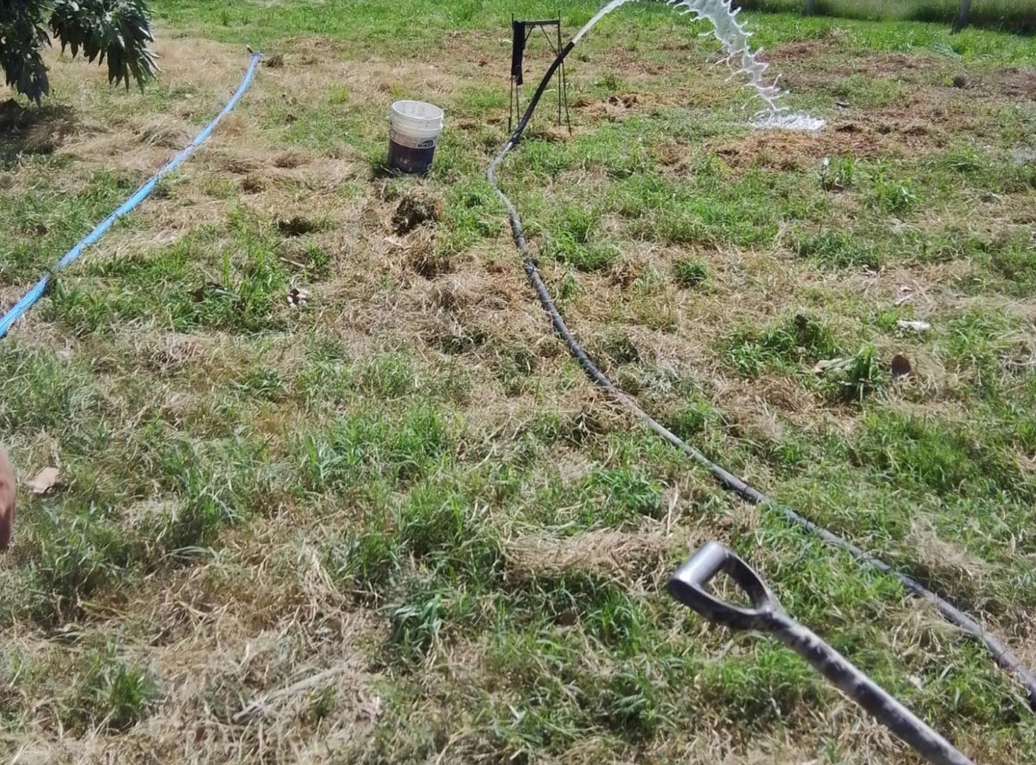 Foto de VENTA LOTE 1.000 M2 BARRIO SANTA RITA BRANDSEN, imagen 2