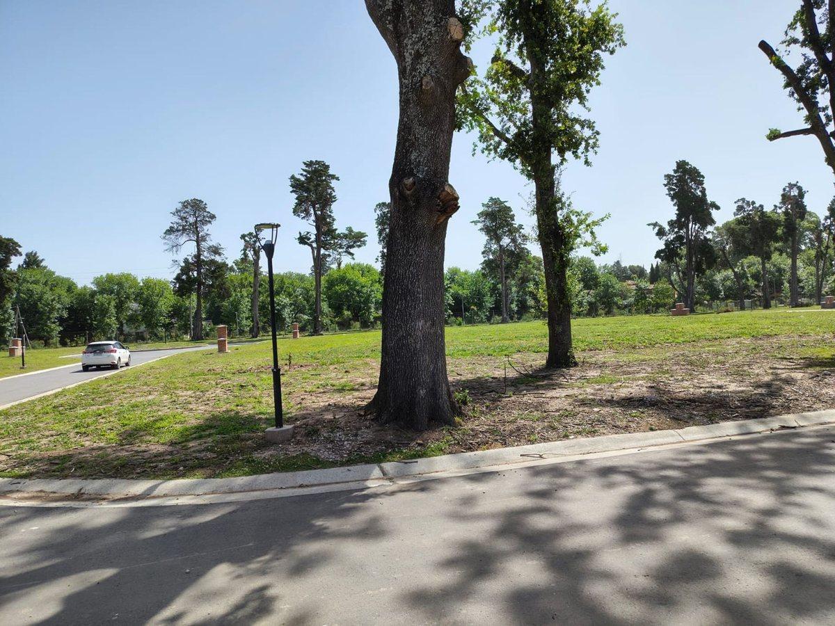Foto de Barrio La Estela, imagen 4