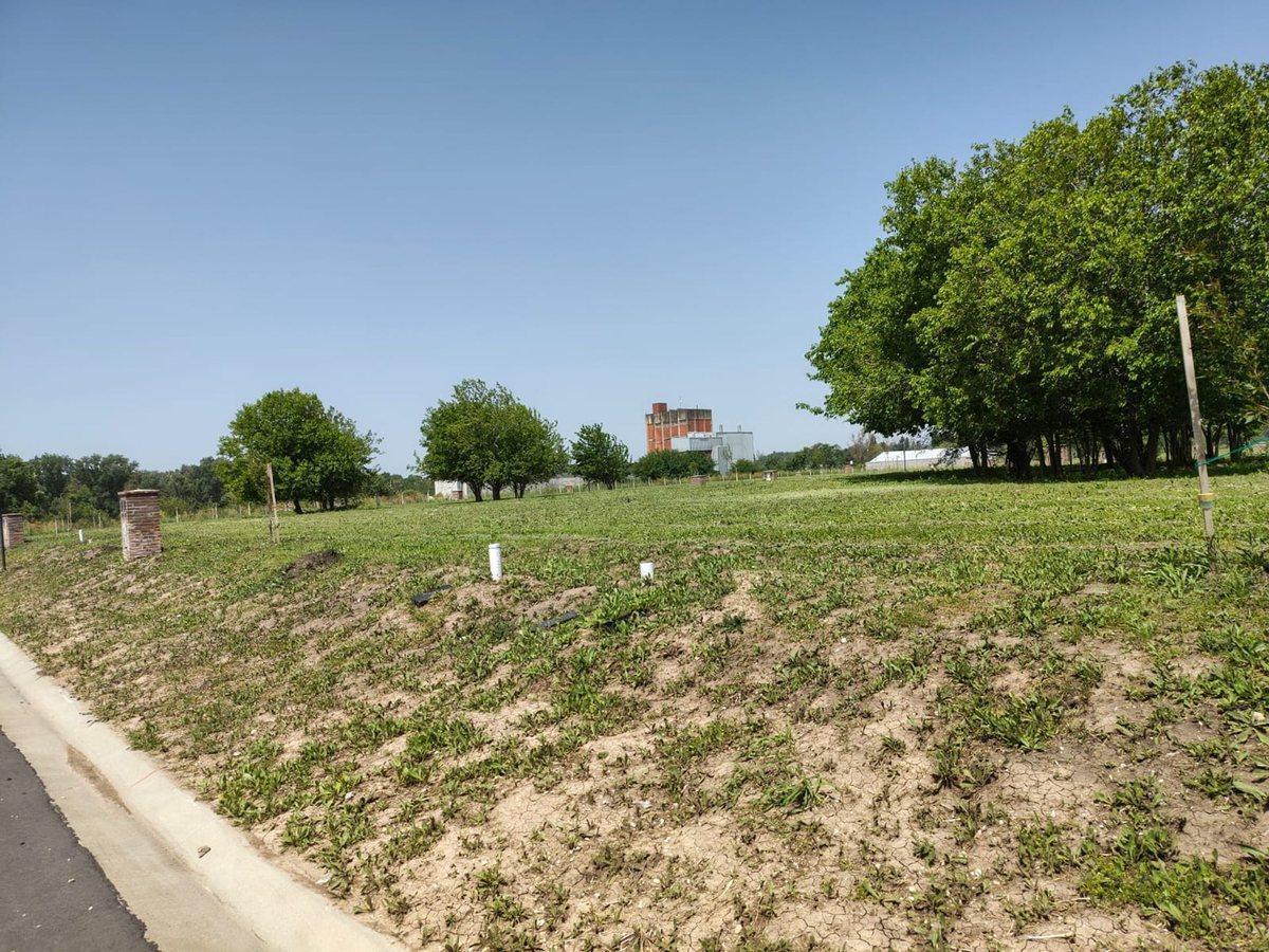 Foto de LOTE BARRIO " LA POSTA ", imagen 5