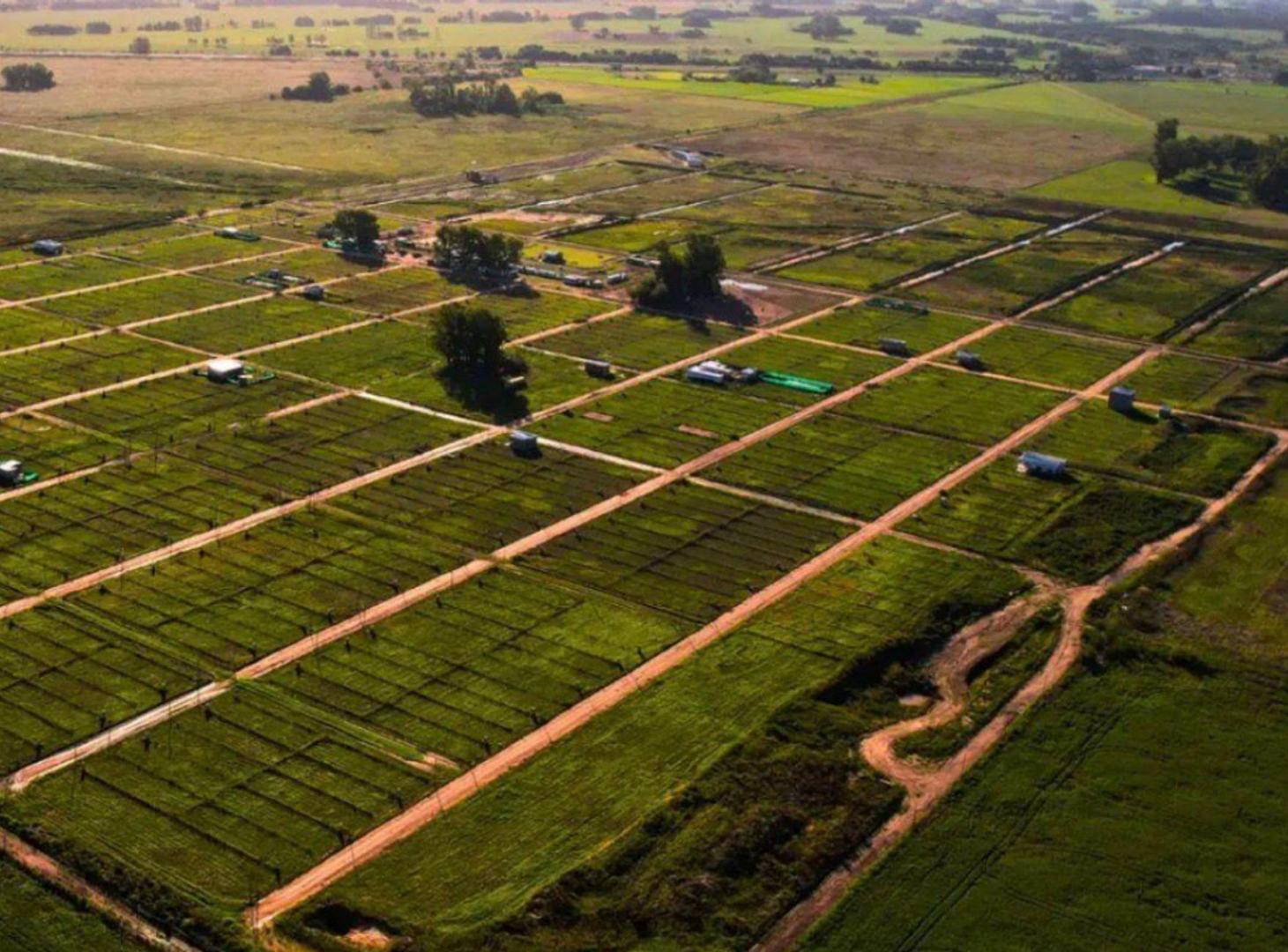 Foto de LOTE EN VENTA EN LA RESERVA DEL OESTE, imagen 1