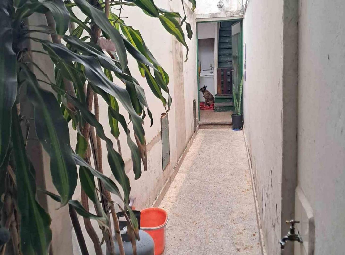 Foto de VENTA PH 3 DORM. CON TERRAZA V.DEL PARQUE, imagen 1