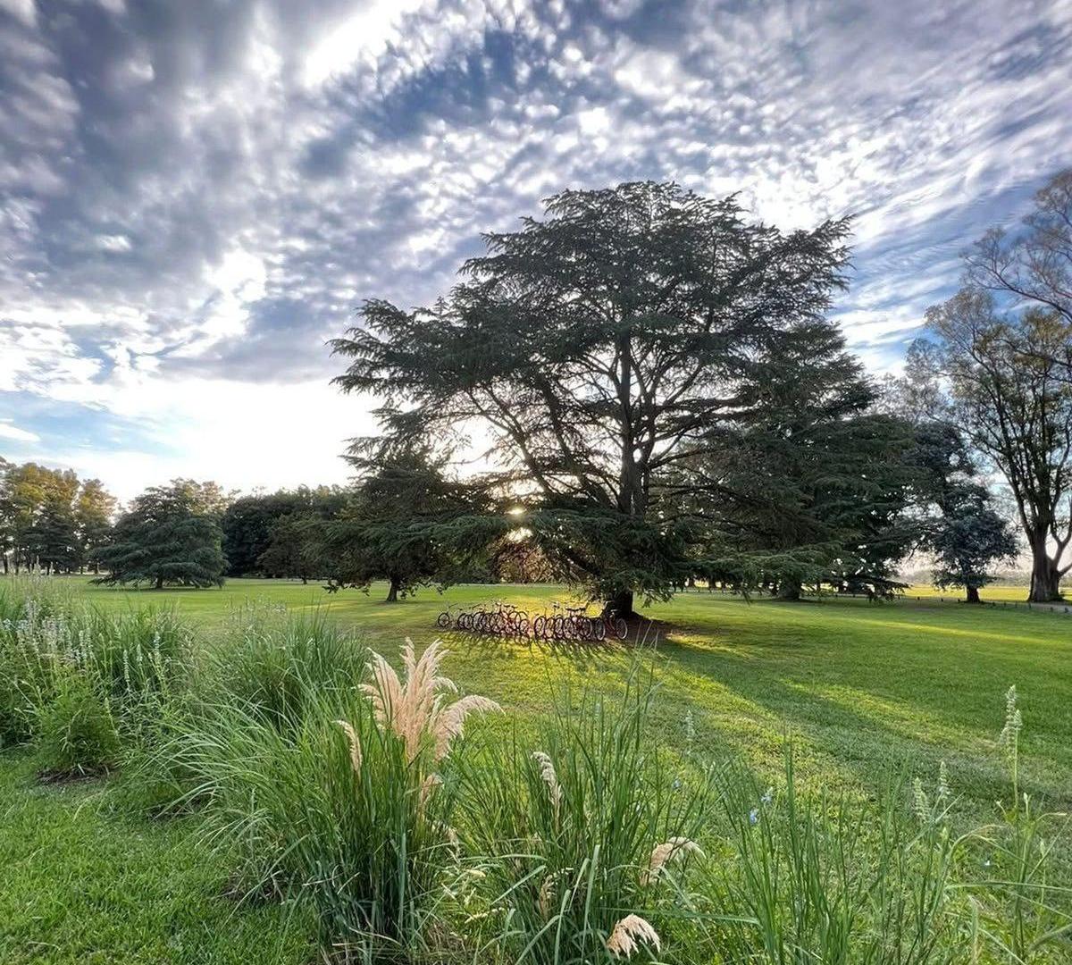 Foto de VENTA LOTE CHACRAS SAN ANDRES, CHACRAS 1 LOTE 13, imagen 3