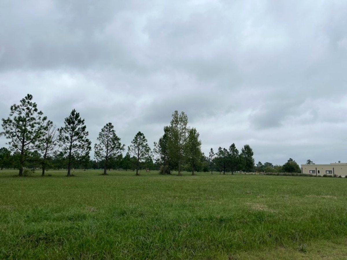 Foto de LOTE EN VENTA - LAS HOJAS CLUB DE CAMPO MARCOS PAZ, imagen 3
