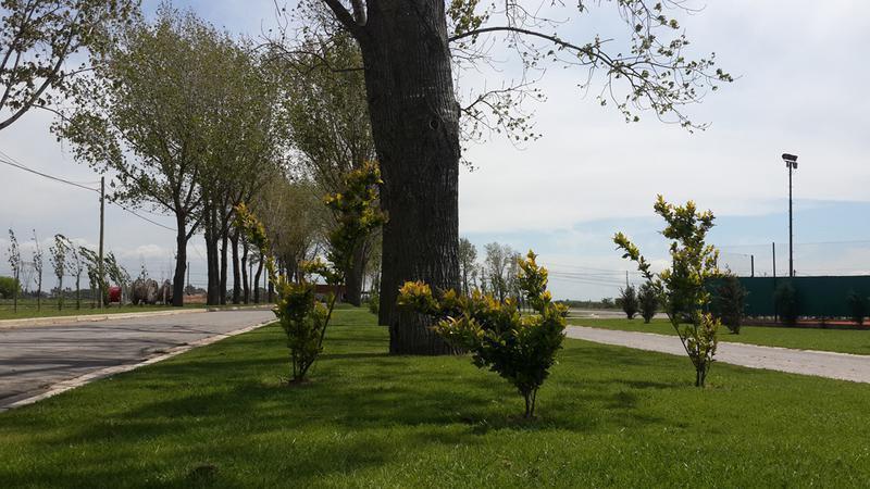 Terreno en venta Barrio La Alameda Canning
