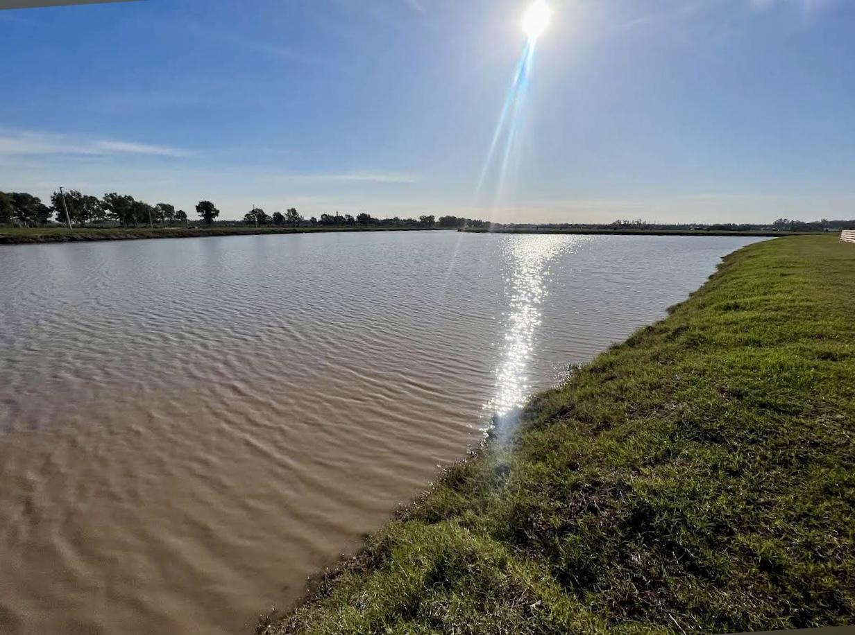 Lote en venta Fincas de San Vicente Sporting