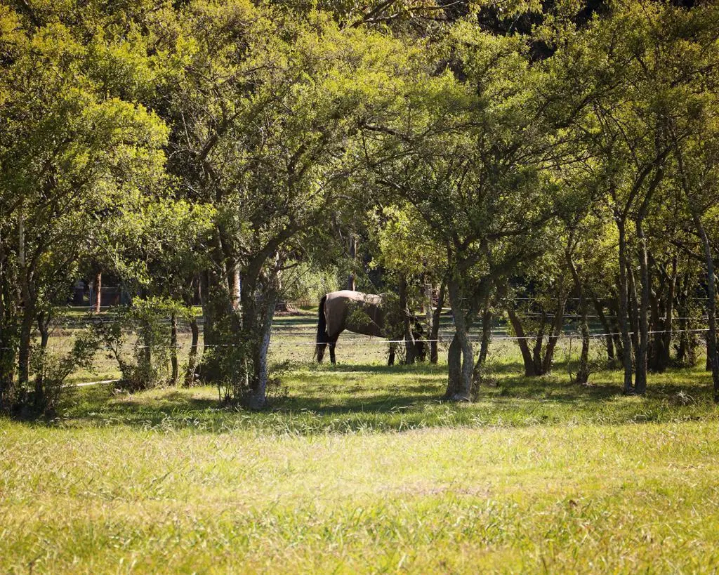 Lote en Venta en Estancia Villa María Canning 5