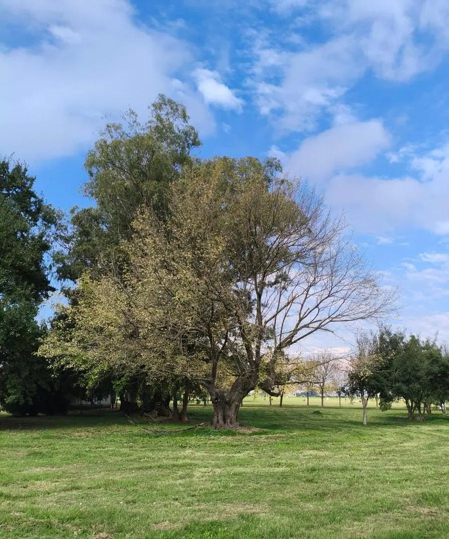 Venta lote Estancia Villa Maria 8