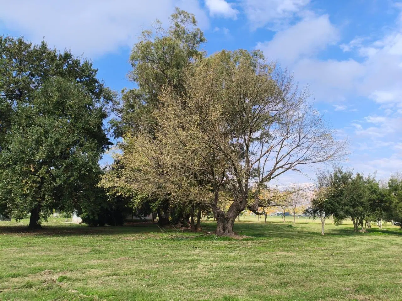 Venta lote Estancia Villa Maria 2