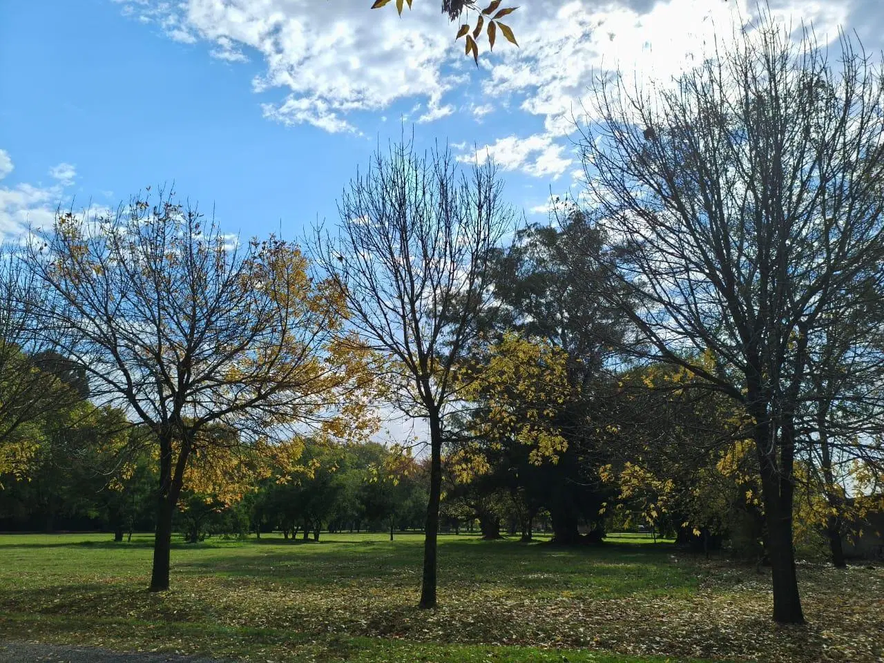 Venta lote Estancia Villa Maria 4