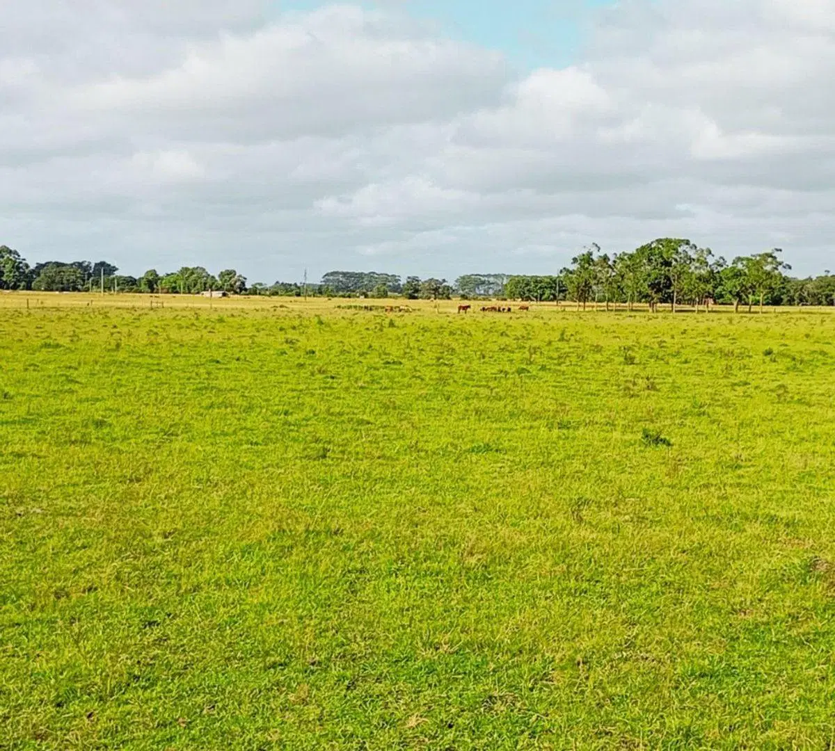 Chacra en Venta en La Paloma 4
