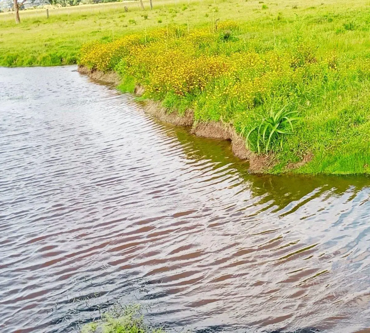 Chacra en Venta en La Paloma 5