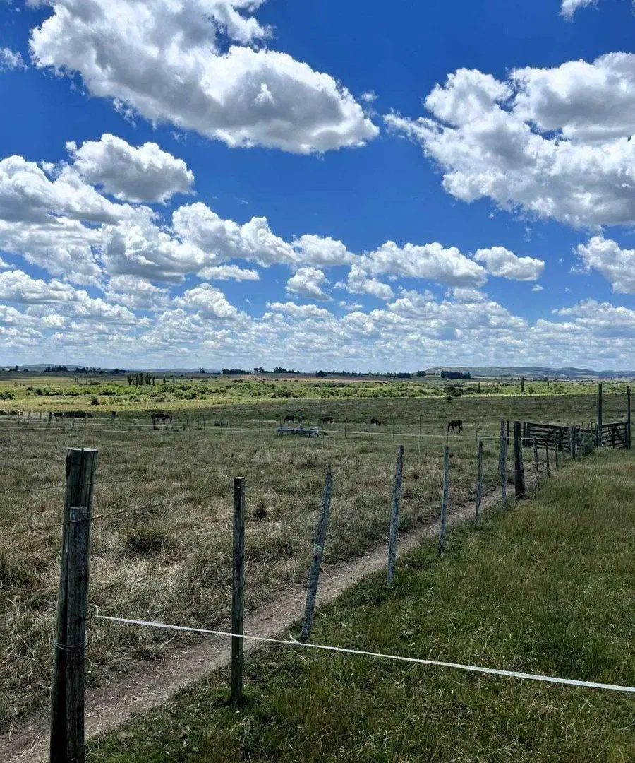 Campo 71 ha con costa de arroyo – Maldonado 5