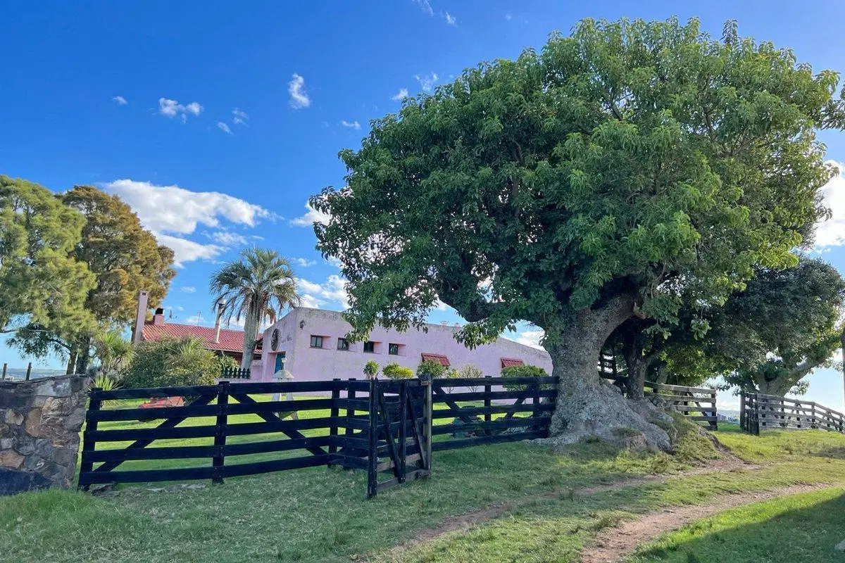CAMPO EN VENTA MALDONADO 2