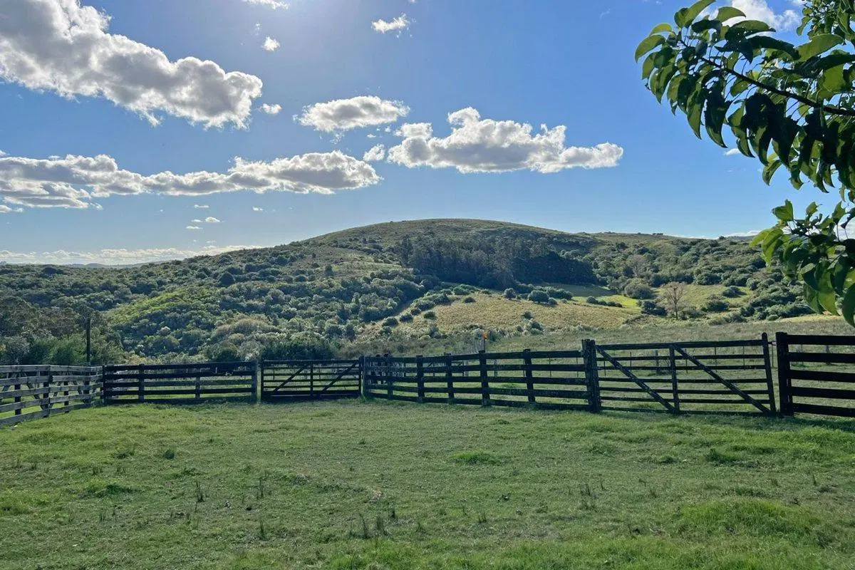 CAMPO EN VENTA MALDONADO 5
