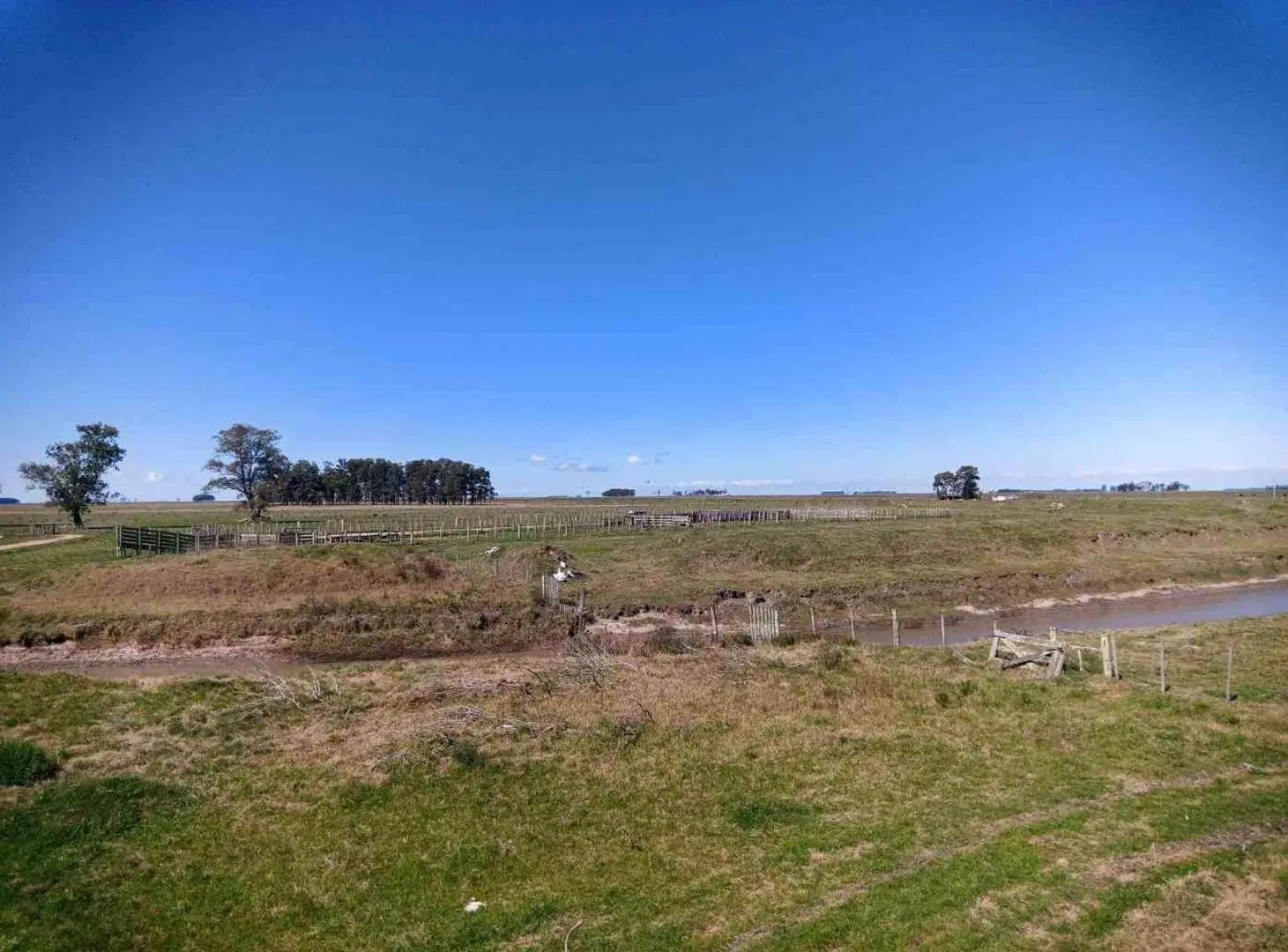CAMPO EN VENTA URUGUAY 5