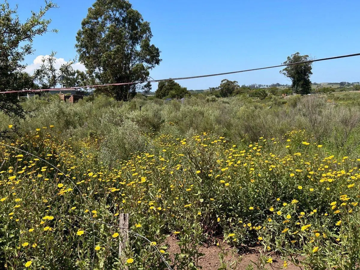 VENTA DE CHACRA CERCA DE SAN CARLOS MALDONADO 2