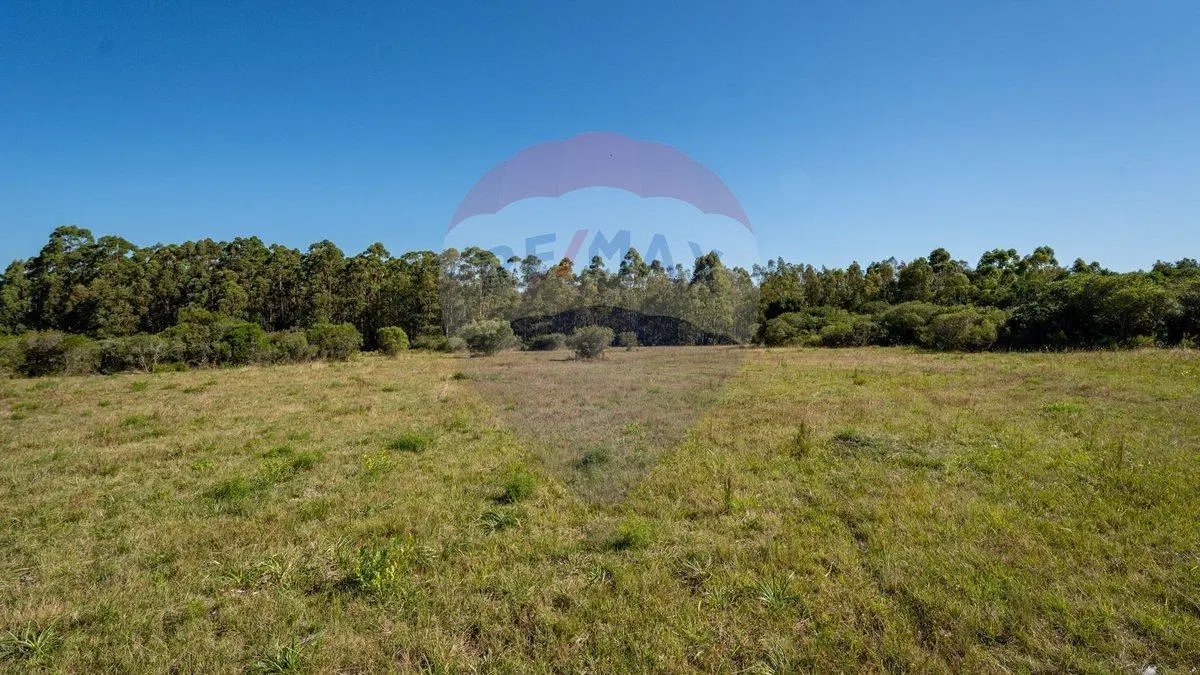 Chacra en venta en las sierras - Oportunidad !! 4