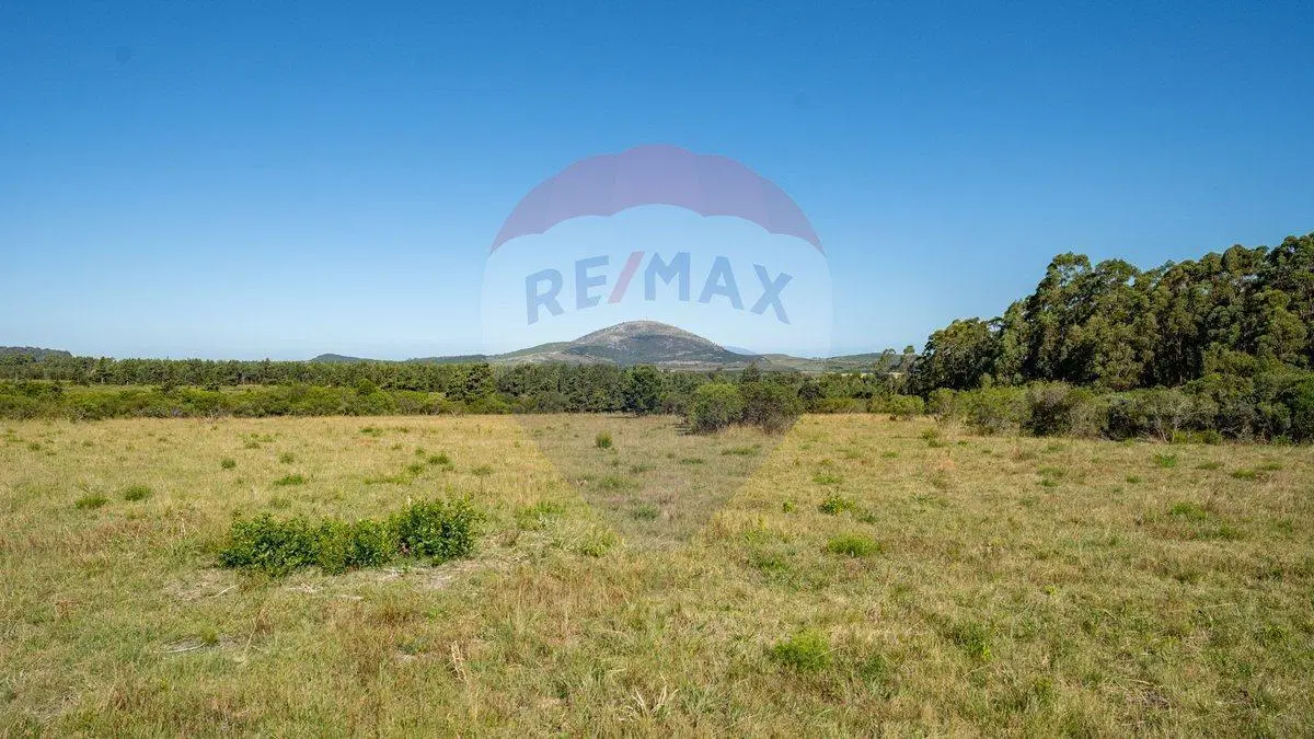 Chacra en venta en las sierras - Oportunidad !! 2